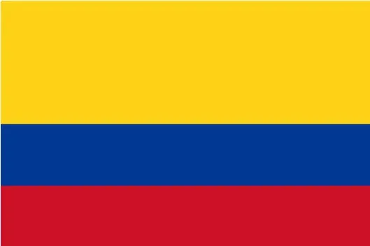 Lee más sobre el artículo Guía Paso a Paso para Solicitar un Certificado de Protección en Colombia